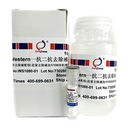 Western一抗二抗去除液（中性，劇烈型）