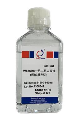 Western一抗二抗去除液（弱堿，溫和型）