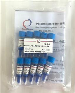2×Tricine多肽上樣緩沖液（變性，非還原）